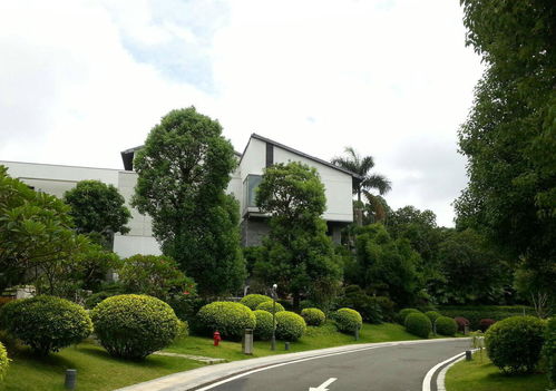 大業園林 園林綠化對一個城市的重要性