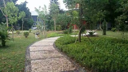 園林綠化知識(shí)